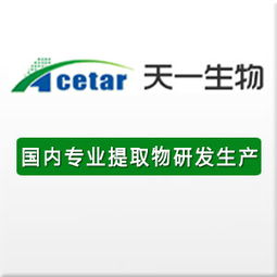 企業(yè)互聯(lián)新橋梁 黃頁(yè)、名錄與八方資源網(wǎng)的協(xié)同效應(yīng)