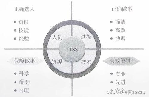 信息系統(tǒng)集成及服務(wù)管理 系統(tǒng)集成項(xiàng)目管理工程師的視角